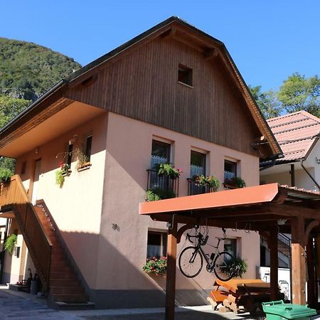 Ferienwohnung Apartma Na Vasi Zaga Exterior foto