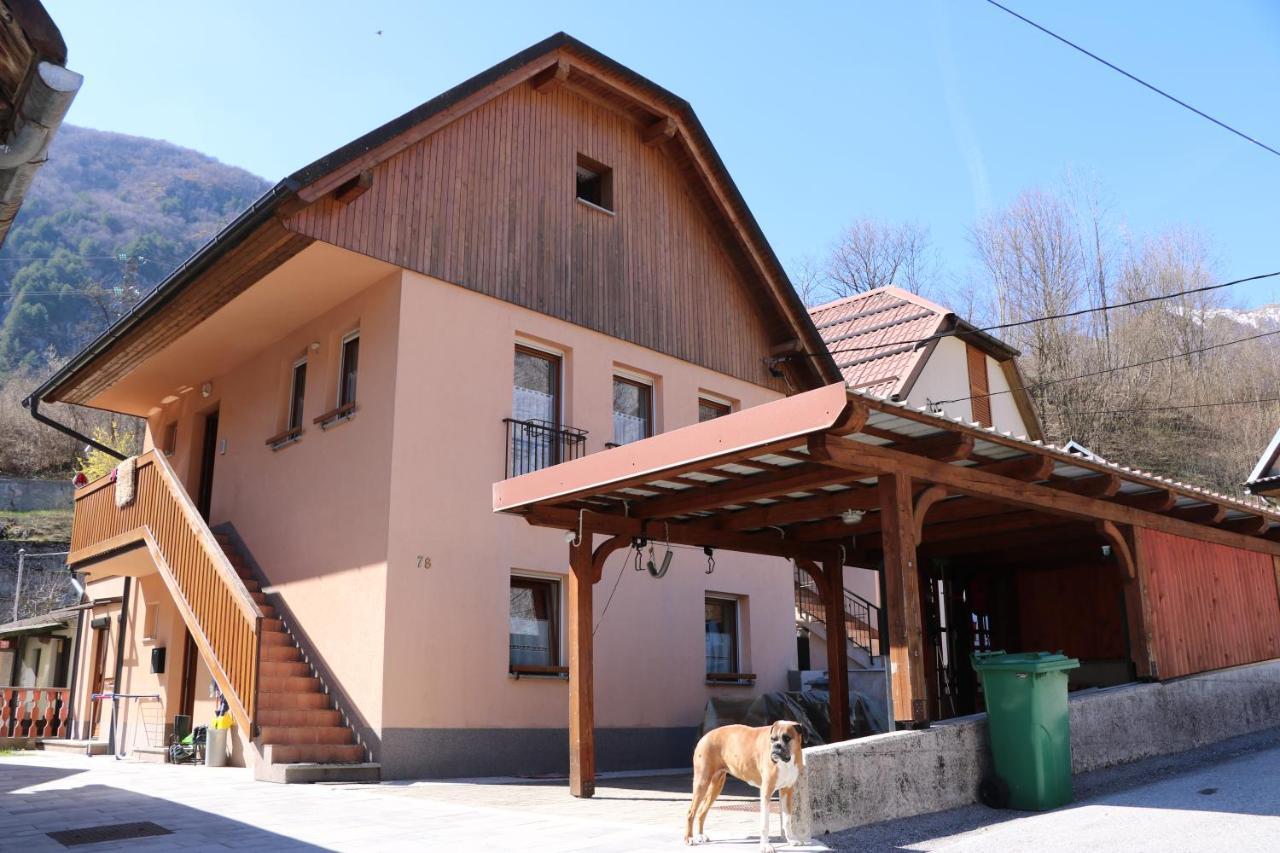 Ferienwohnung Apartma Na Vasi Zaga Exterior foto